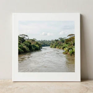 La curva del río